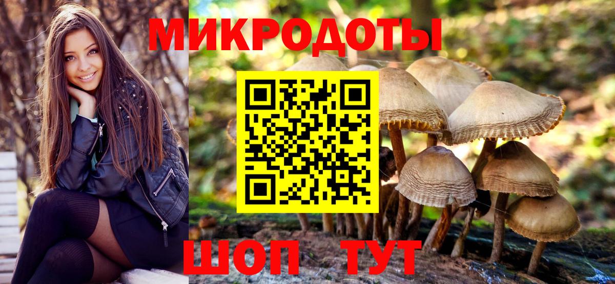 Электросталь  Галлюциногенные грибы Psilocybine cubensis  Псилоцибиновые грибы мицелий  Вход с VPN 